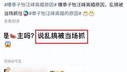刘大锤爆料小结视频,视频爆料内容精华汇总  第2张 刘大锤爆料小结视频,视频爆料内容精华汇总  第2张