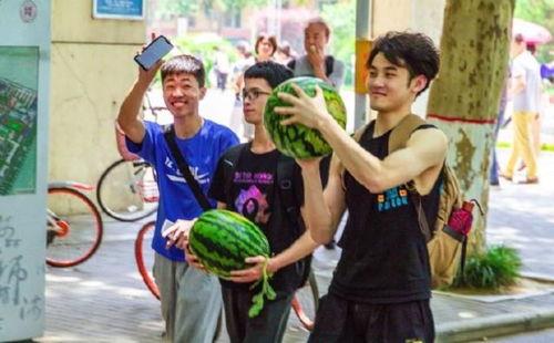 吃瓜学校全集免费,揭秘校园风云,笑料百出的青春岁月