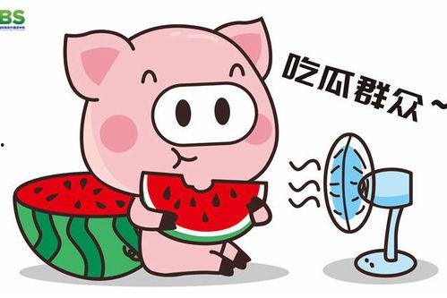 吃瓜学校全集免费,揭秘校园风云,笑料百出的青春岁月  第2张 吃瓜学校全集免费,揭秘校园风云,笑料百出的青春岁月  第2张