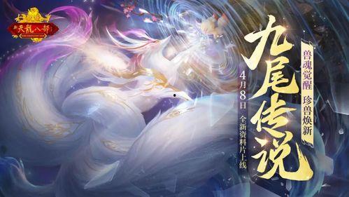 九尾狐爆料对比视频,视频对比背后的惊人真相  第2张 九尾狐爆料对比视频,视频对比背后的惊人真相  第2张