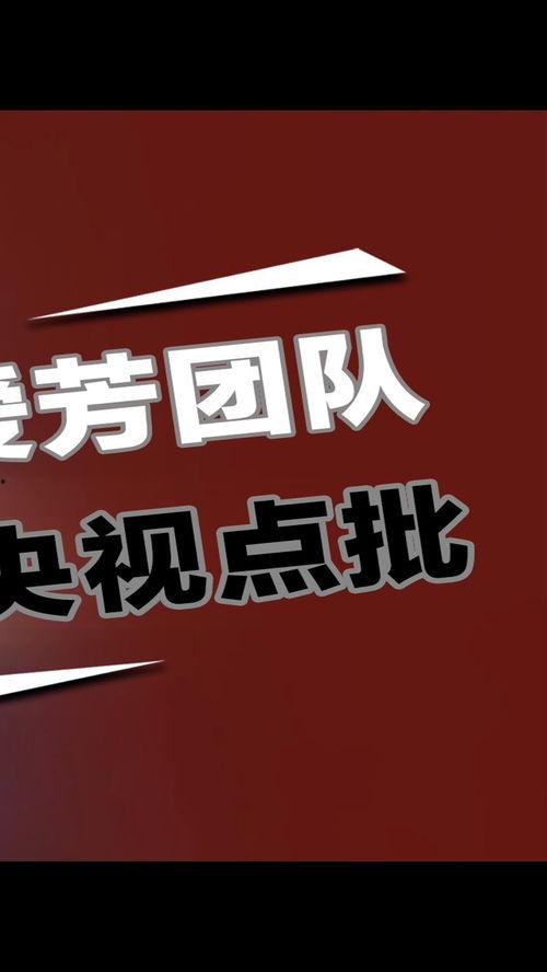 墙布大爆料视频,揭秘墙布行业那些不为人知的秘密  第3张 墙布大爆料视频,揭秘墙布行业那些不为人知的秘密  第3张