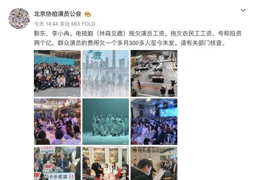靳东女友爆料视频播放,揭秘明星夫妻背后的真相  第2张