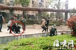 闽侯上街爆料事件视频最新,视频揭露惊人真相,引发社会关注